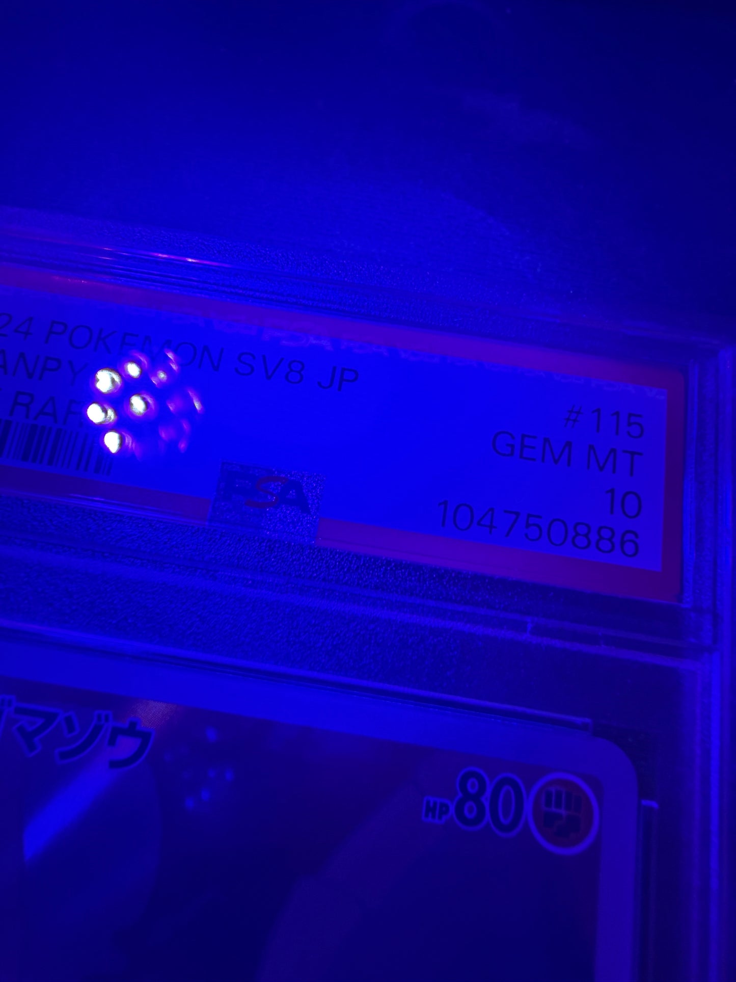 black light photo of2024 POKEMON JAPANESE SV8-SUPER ELECTRIC BREAKER #115 PHANPY ART RARE PSA 10 #104750886