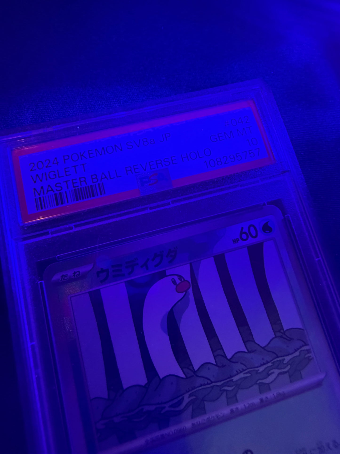 black light photo of front of 2024 POKEMON JAPANESE SV8a-TERASTAL FEST ex #042 WIGLETT MASTER BALL REVERSE HOLO psa 10 108295757