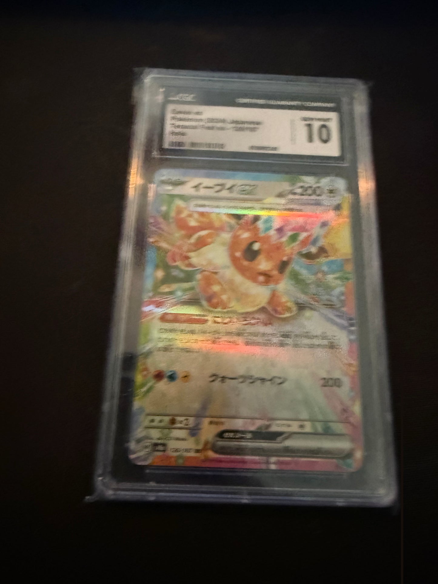 front irl Eevee ex 126/187 Terastal Fest ex CGC 10 6039992249