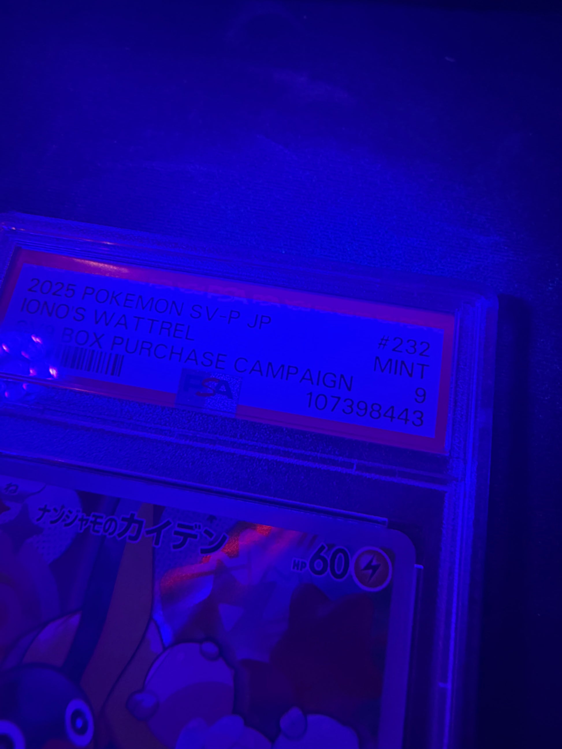 black light photo 2025 POKEMON JAPANESE SV-P PROMO #232 IONO'S WATTREL SV9 BOX PURCHASE CAMPAIGN PSA 9 #107398443