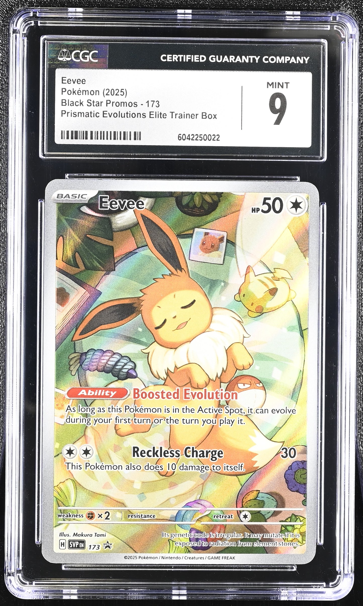 front of 2025 POKEMON SVP EN-SV BLACK STAR PROMO #173 EEVEE CGC 9 1234567999